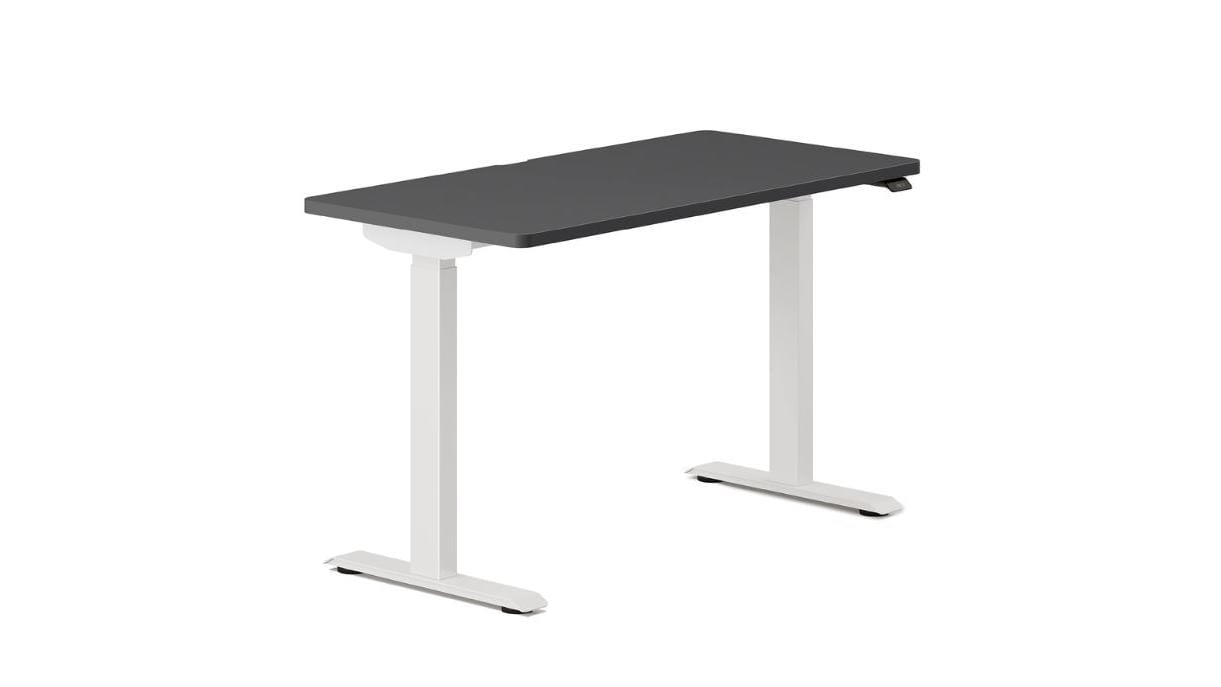 Branch Duo Standing Desk