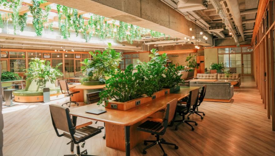 Biophilic Design Layout