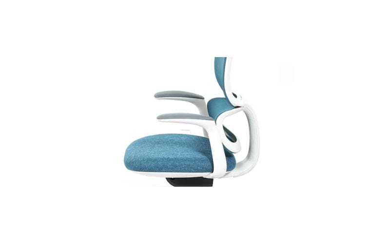 Lumbar support