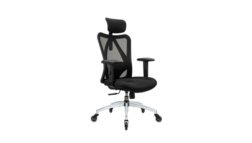 Duramont Ergonomic Adjustable Office Chair