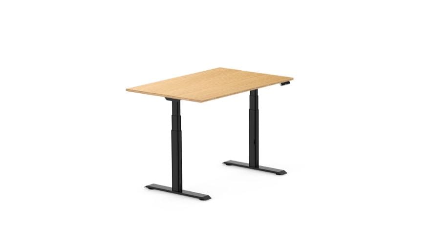 Flexispot Kana Pro Executive Standing Desk