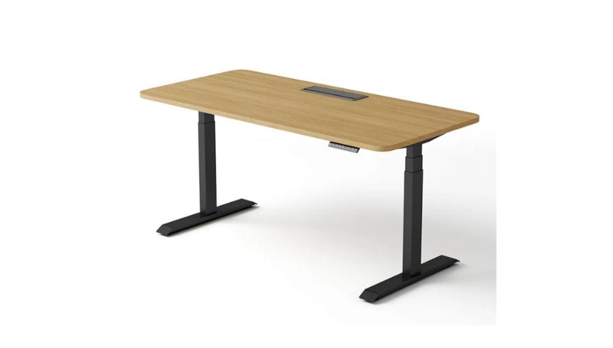 Liftdesk standing Desk