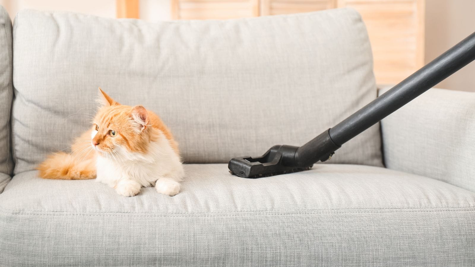 How to Clean Microfiber Couches blog cover