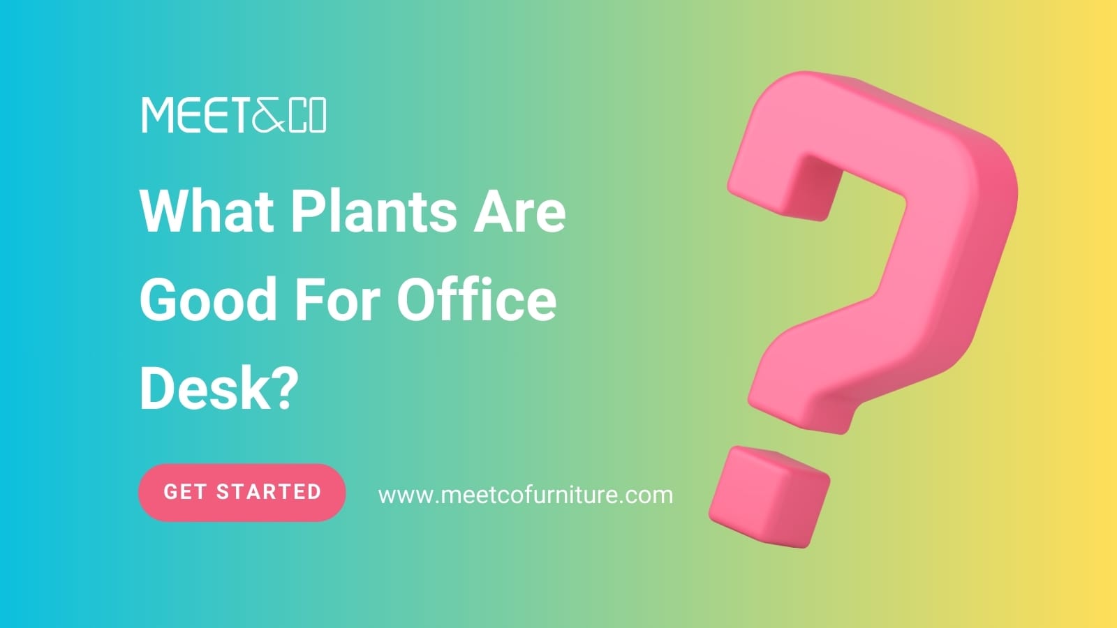 What Plants Are Good For Office Desk
