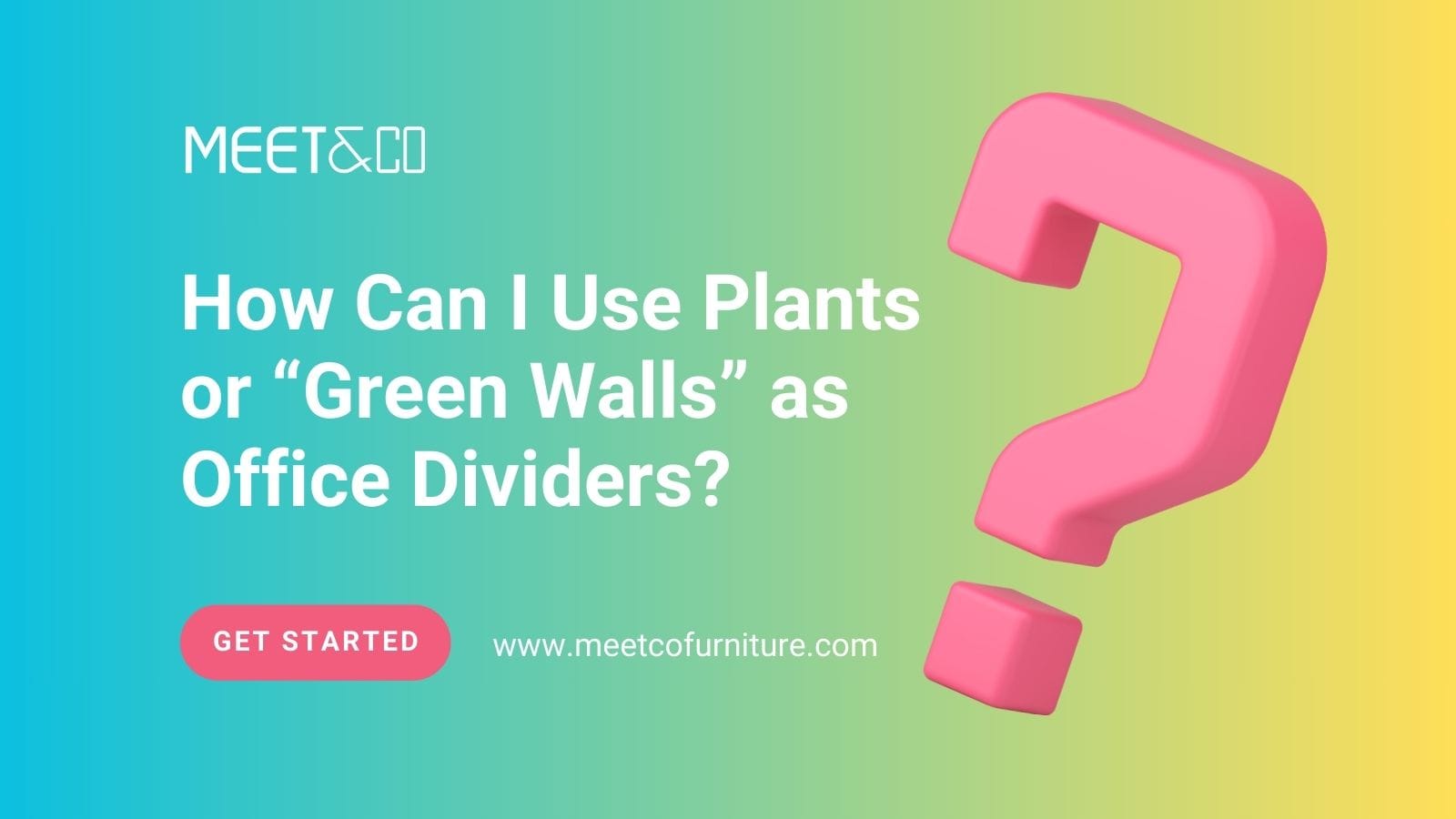 How Can I Use Plants or “Green Walls” as Office Dividers?