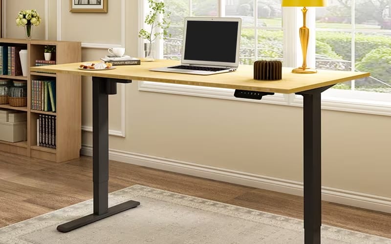 FlexiSpot Electric Desk