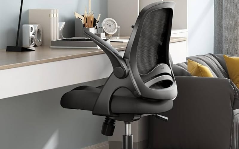 Hbada Office Task Chair