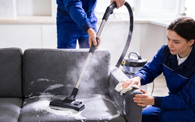 Seek Professional Help To Clean The Sofa