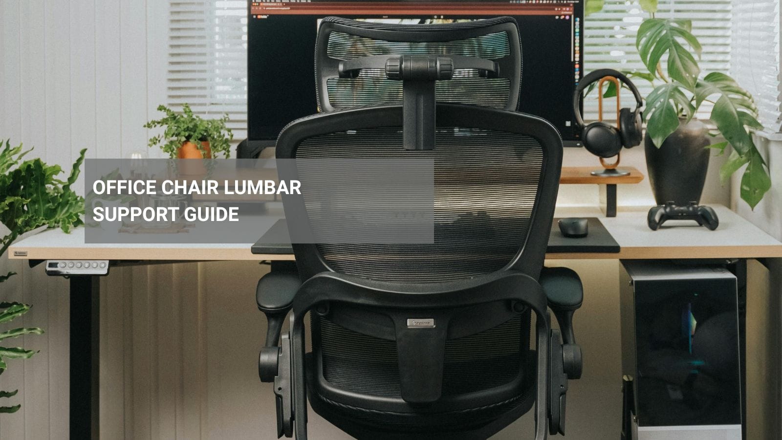 Office Chair Lumbar Support Guide COVER