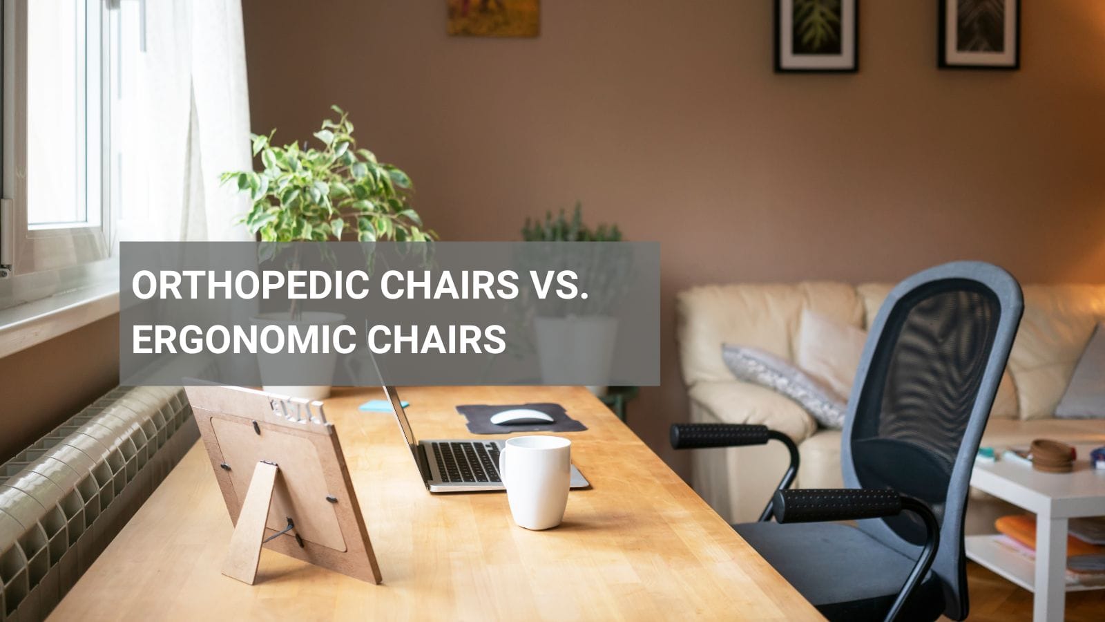 Orthopedic Chairs and Ergonomic Chairs
