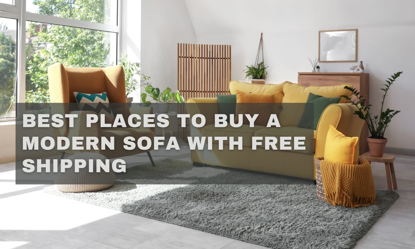 Best Places to Buy a Modern Sofa with Free Shipping