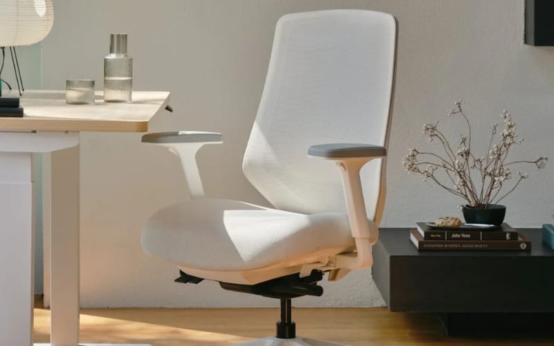 Branch Ergonomic Chair 