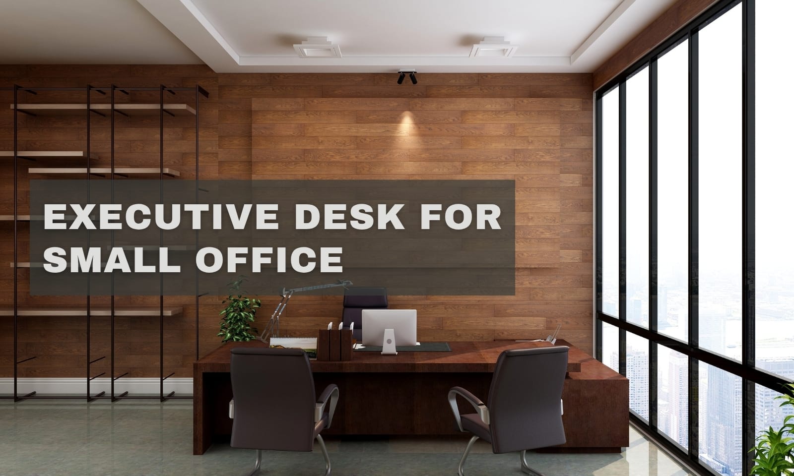 Executive Desk for Small Office