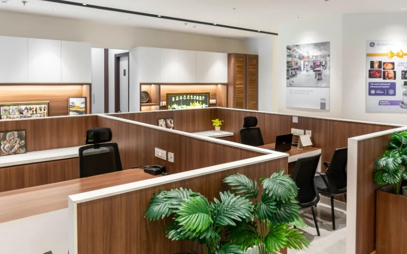 Como combinar plantas com a sua mesa de trabalho