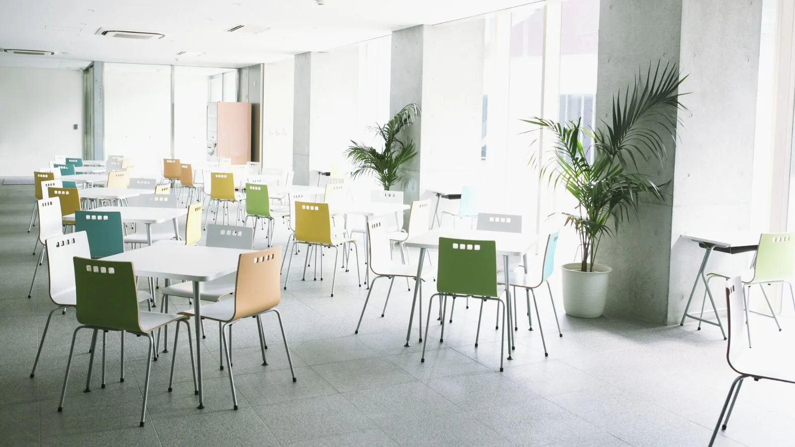 cadeiras de plástico