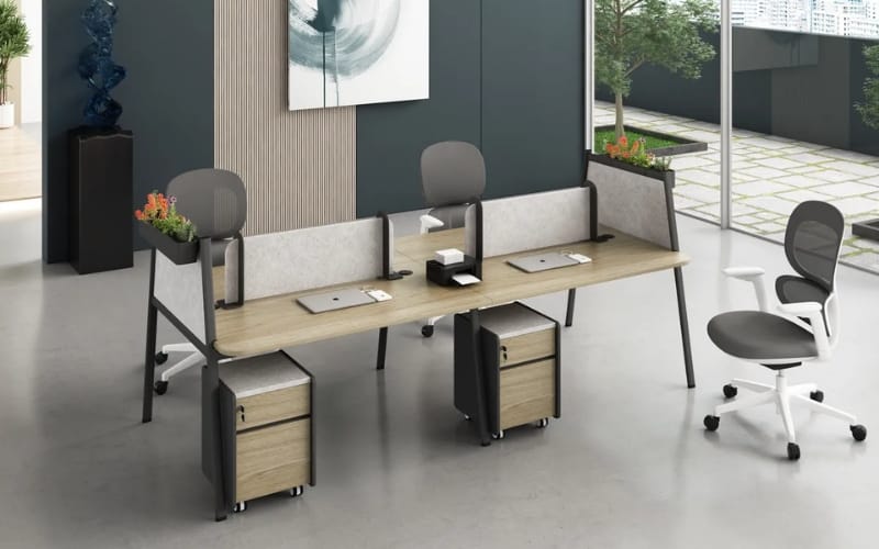 Productive Office Workstation with Plants