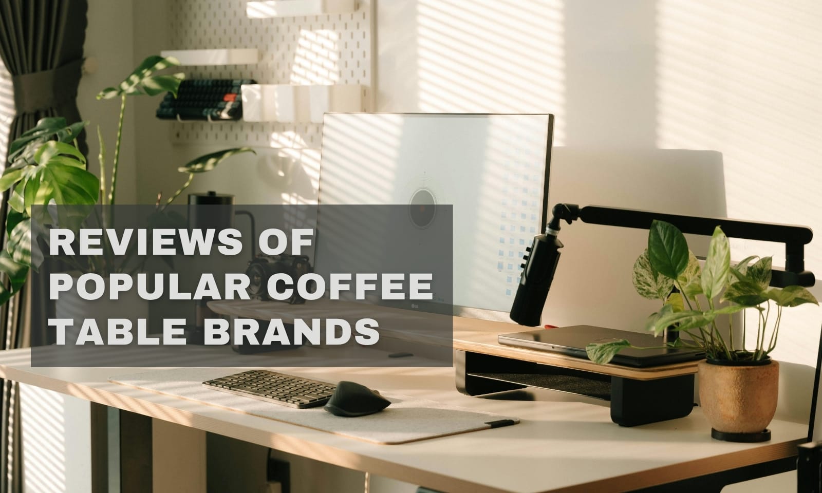 Reviews of Popular Coffee Table Brands