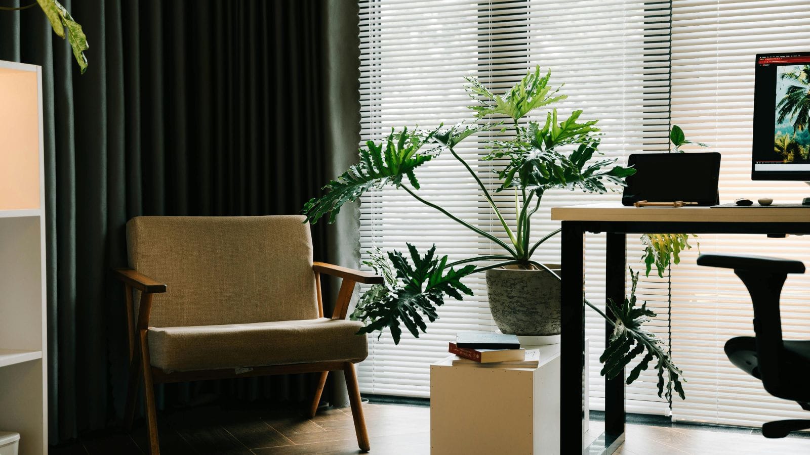 room with plants