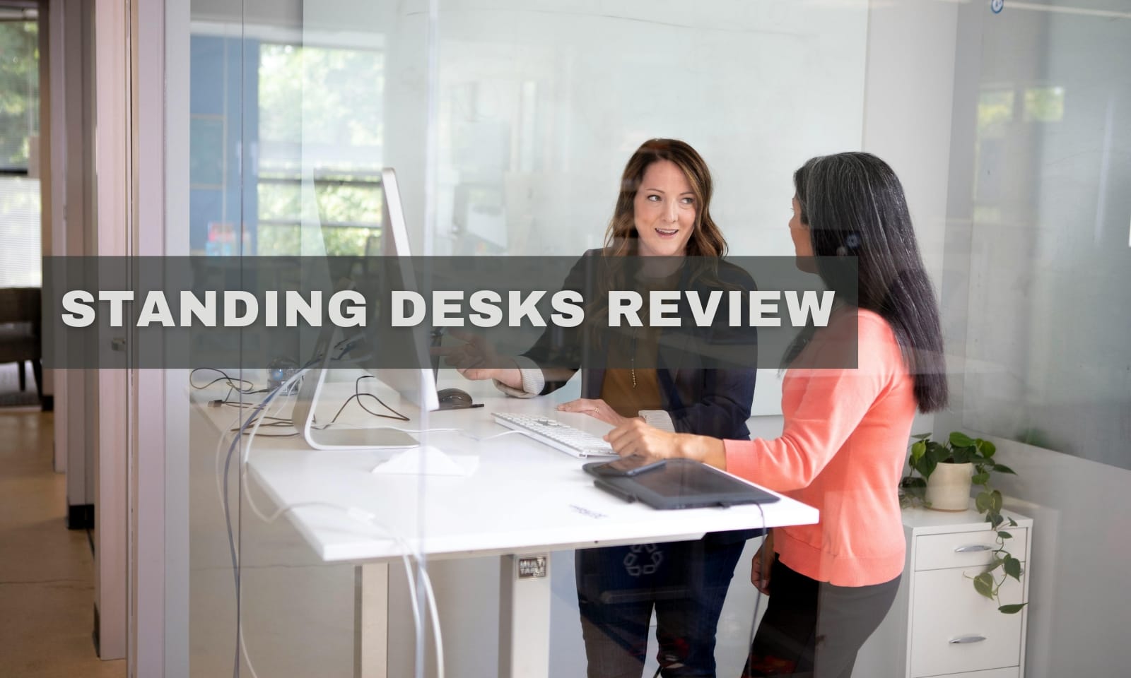 Standing Desks Review