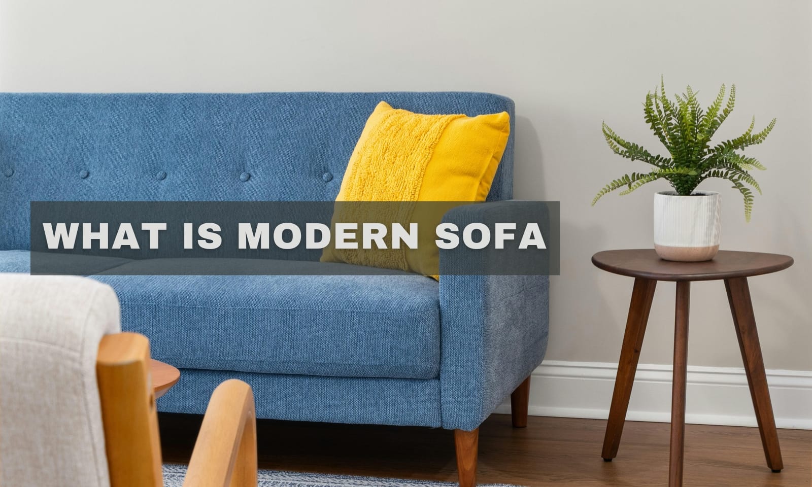 What is Modern Sofa