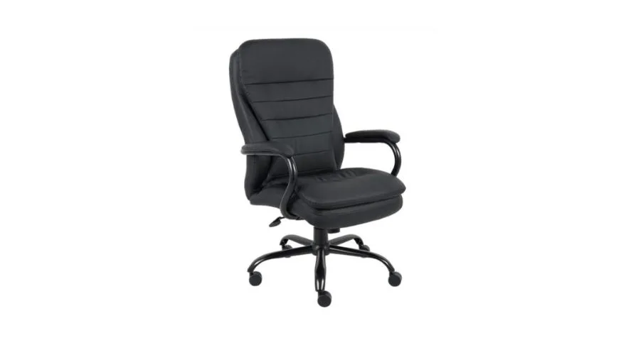 Boss Heavy Duty Double Plush Caressoftplus 