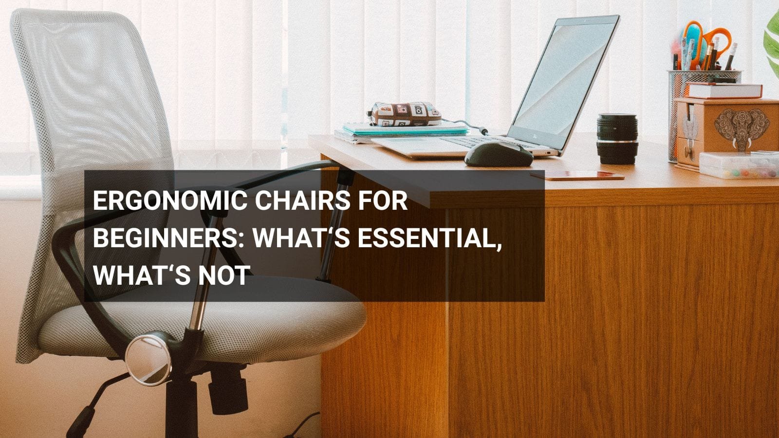 Ergonomic Chairs for Beginners