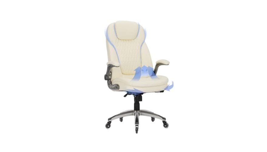 COLAMY Ergonomic High Back Office Chair
