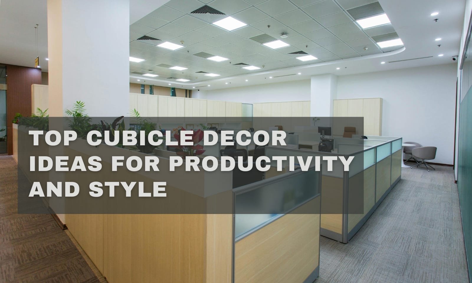 Top Cubicle Decor Ideas for Productivity and Style