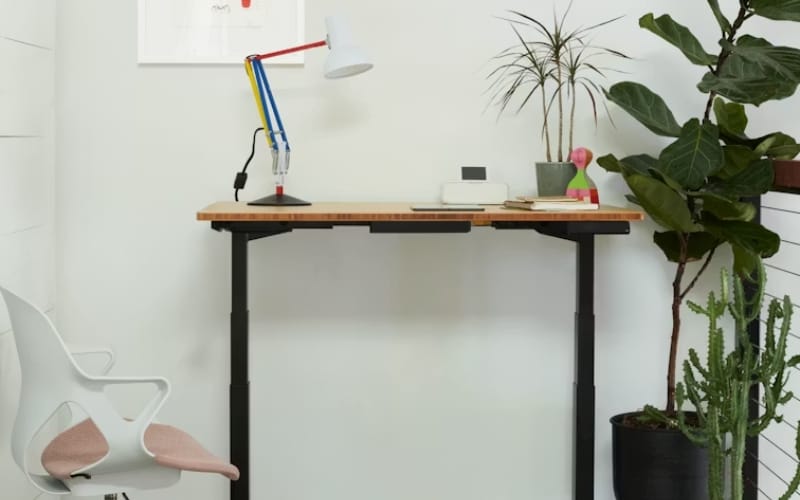Fully Jarvis Bamboo Standing Desk (Compact Version)