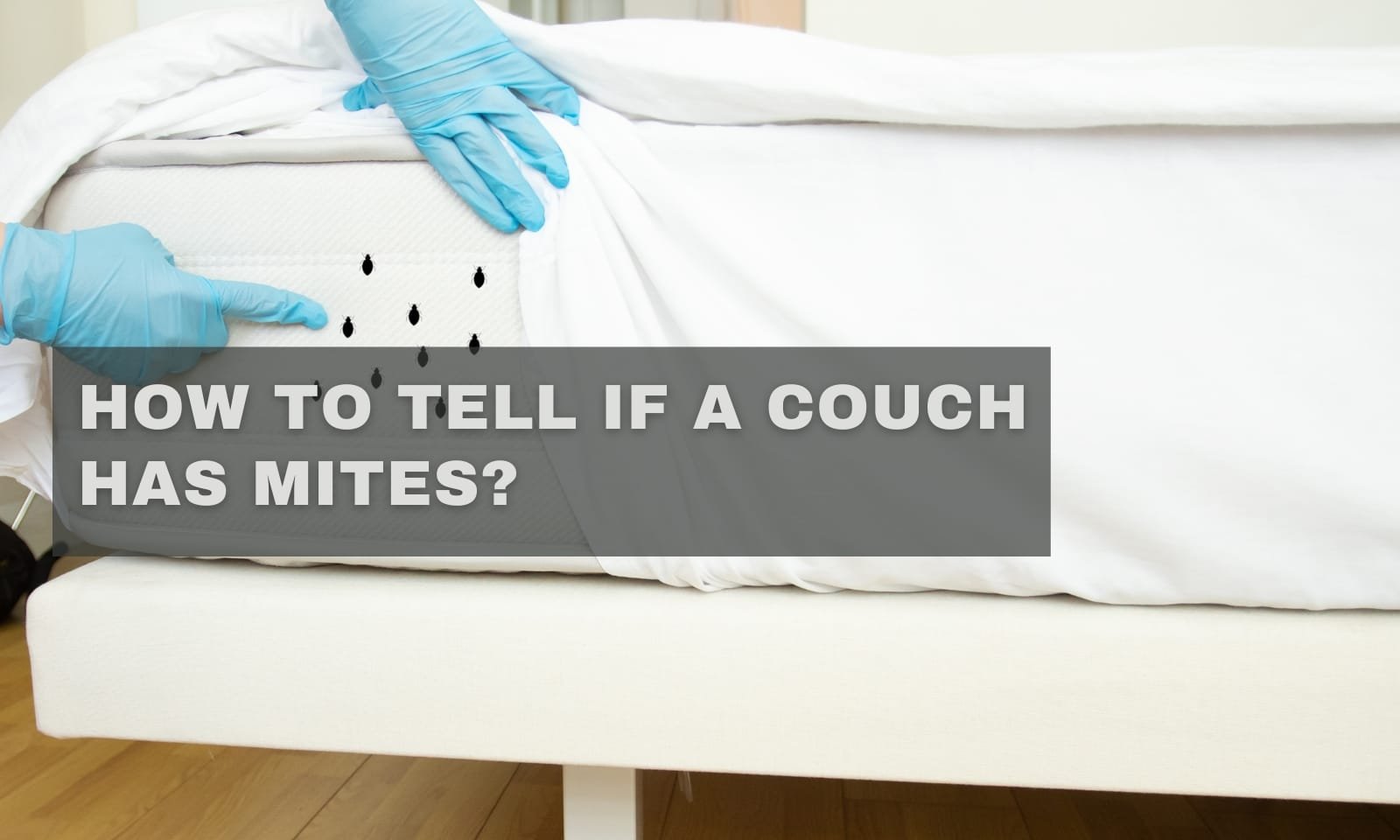 How to Tell If a Couch Has Mites