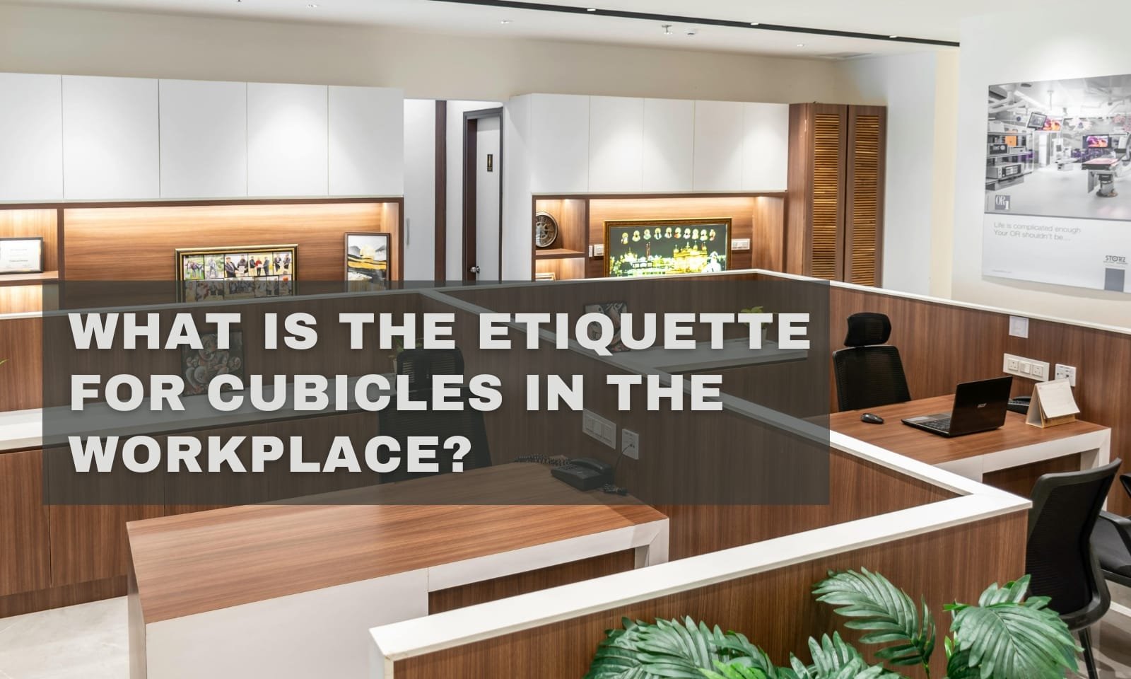 What is the Etiquette for Cubicles in the Workplace?
