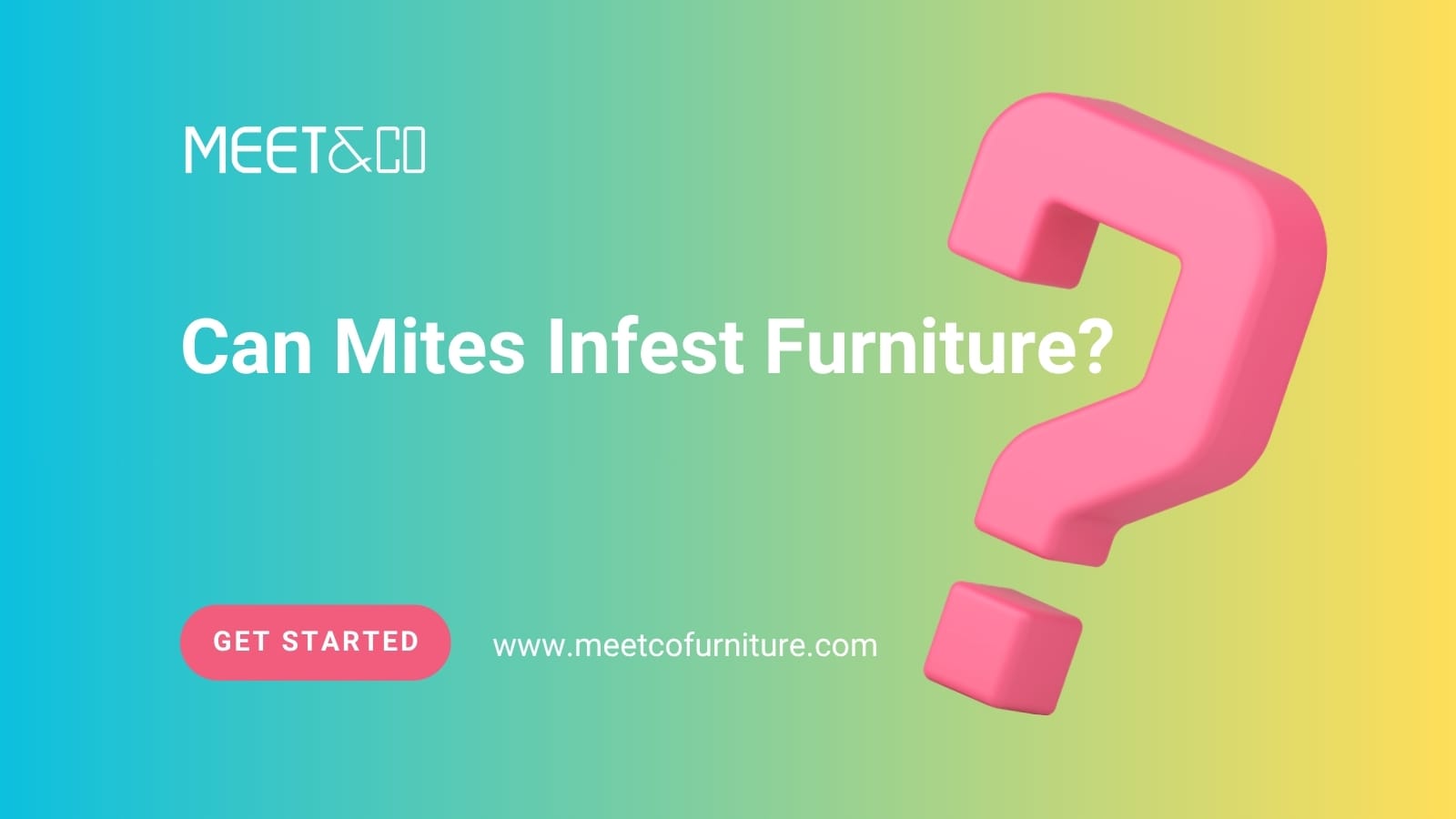 Can Mites Infest Furniture?