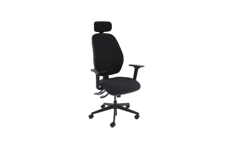 Ortho-Support Pro Chair