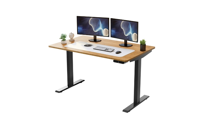 RiseUp Dual-Motor Standing Desk