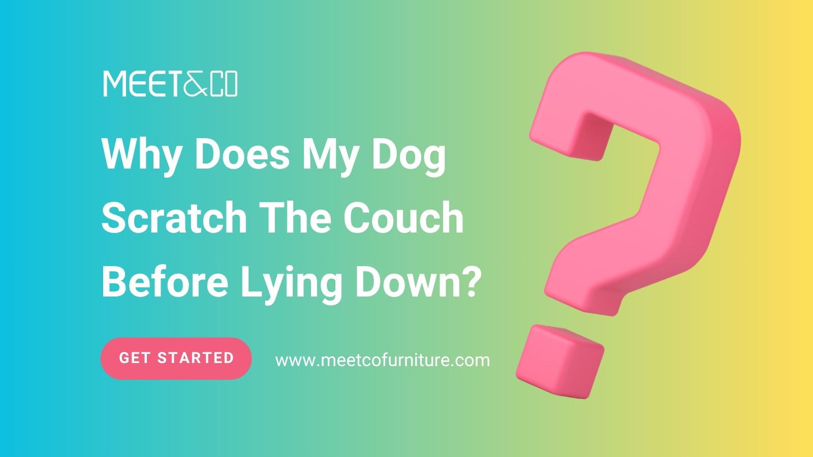 Why Does My Dog Scratch The Couch Before Lying Down?