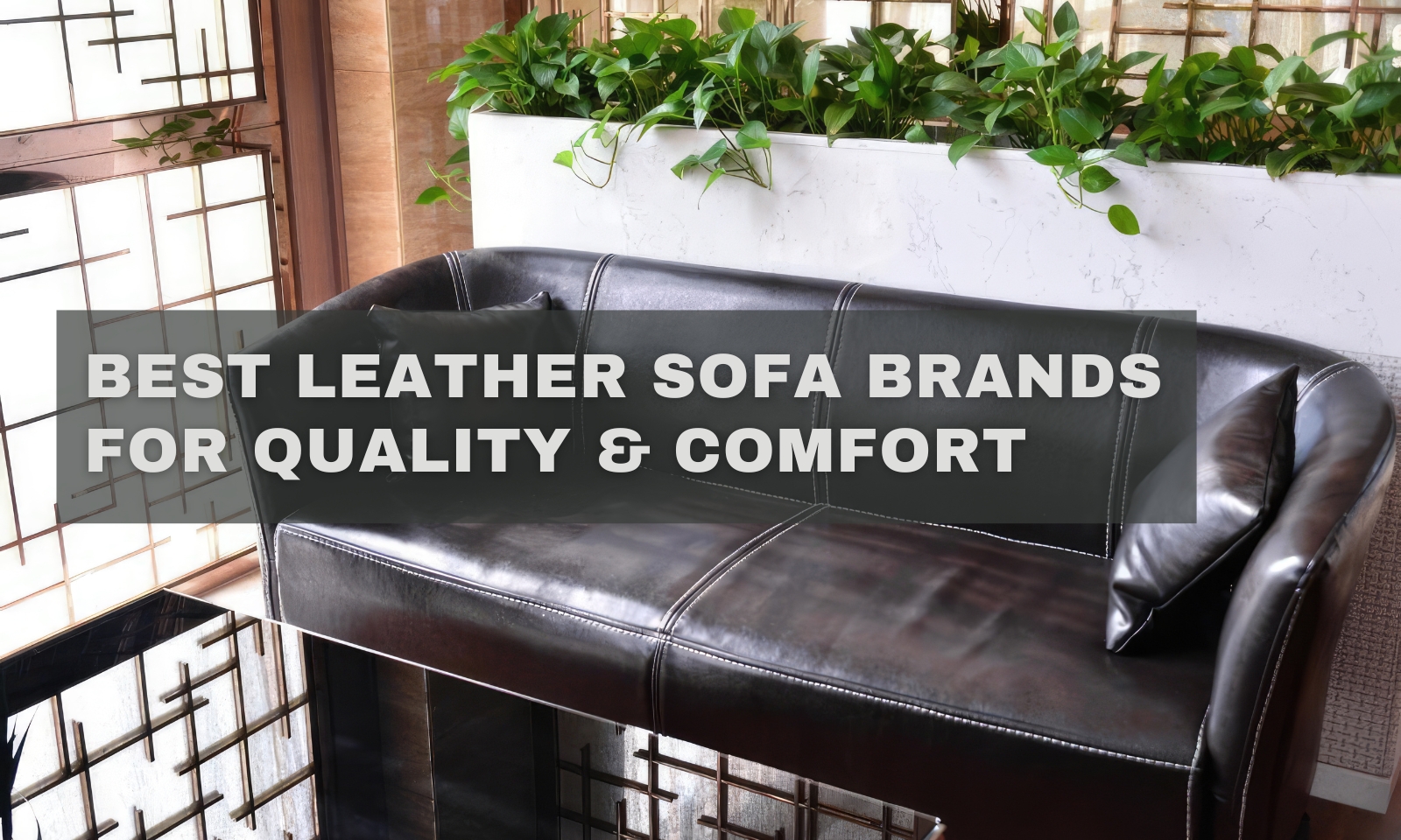 Best Leather Sofa Brands for Quality & Comfort in 2026