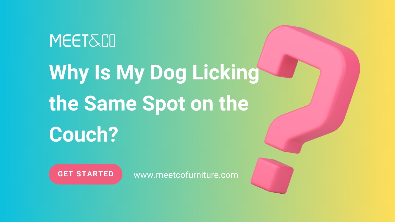 Why Is My Dog Licking the Same Spot on the Couch?