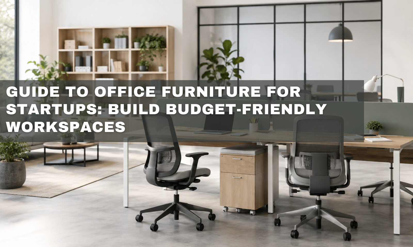 Guide to Office Furniture for Startups: Build Budget-Friendly Workspaces